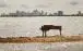 Piano on beach